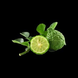 picture of bergamot plant