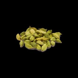 picture of cardamom plant