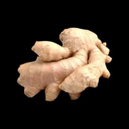 picture of ginger plant