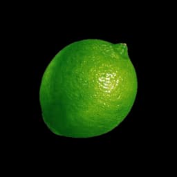 picture of lime plant