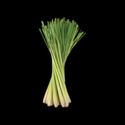 picture of lemongrass plant