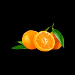 picture of sweet orange plant